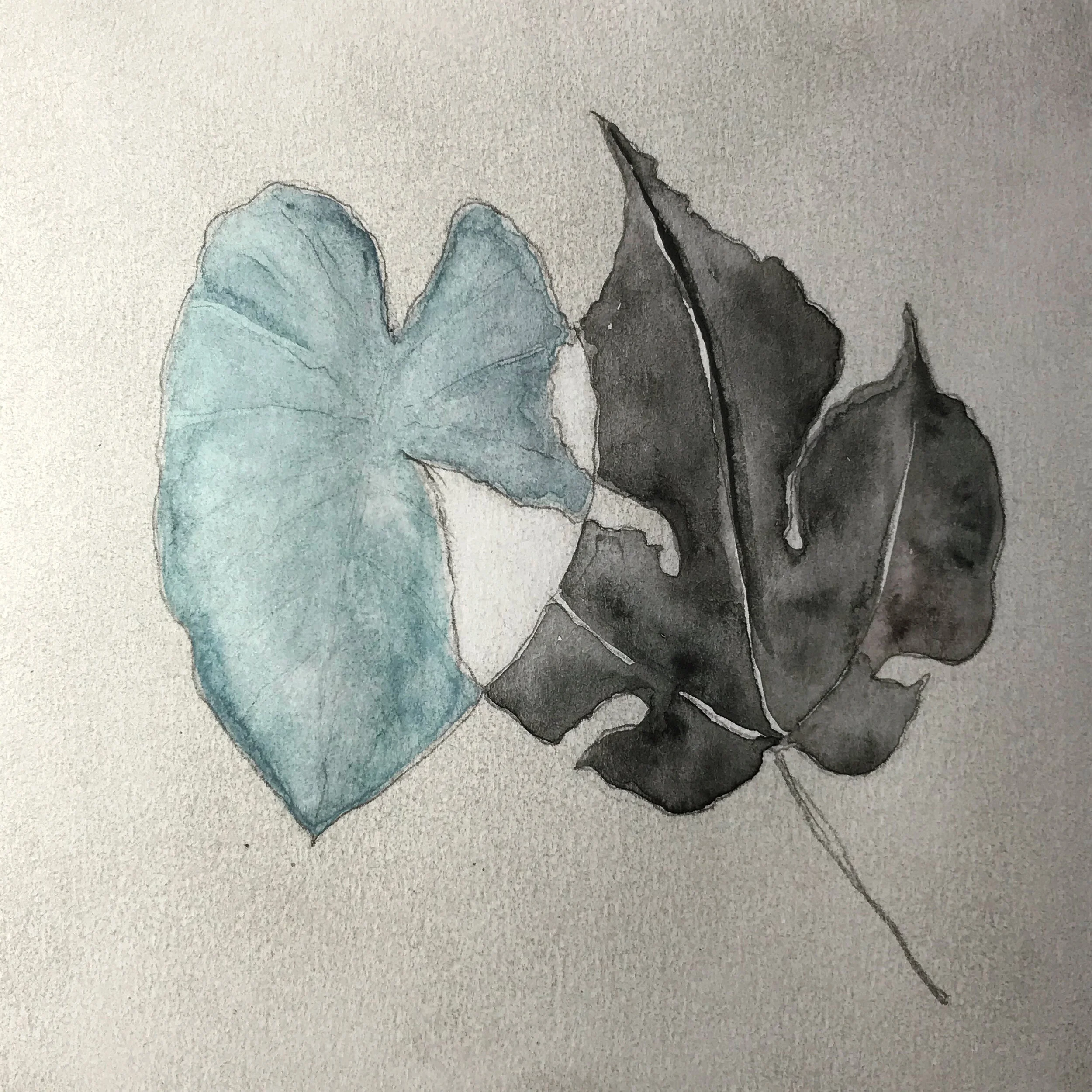 A Story Behind Tanzaku [Day 81]