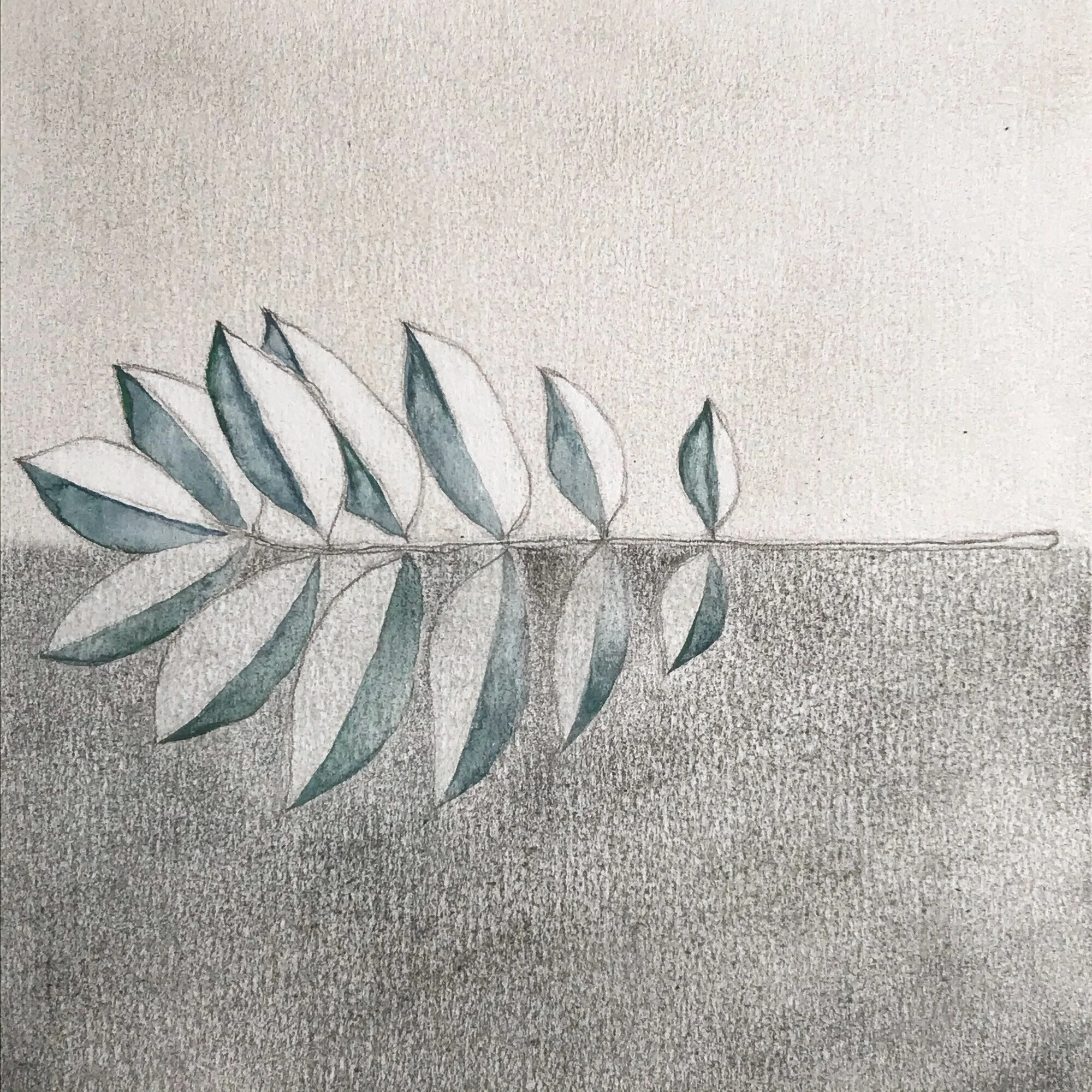 Lakeshore [Day 89]