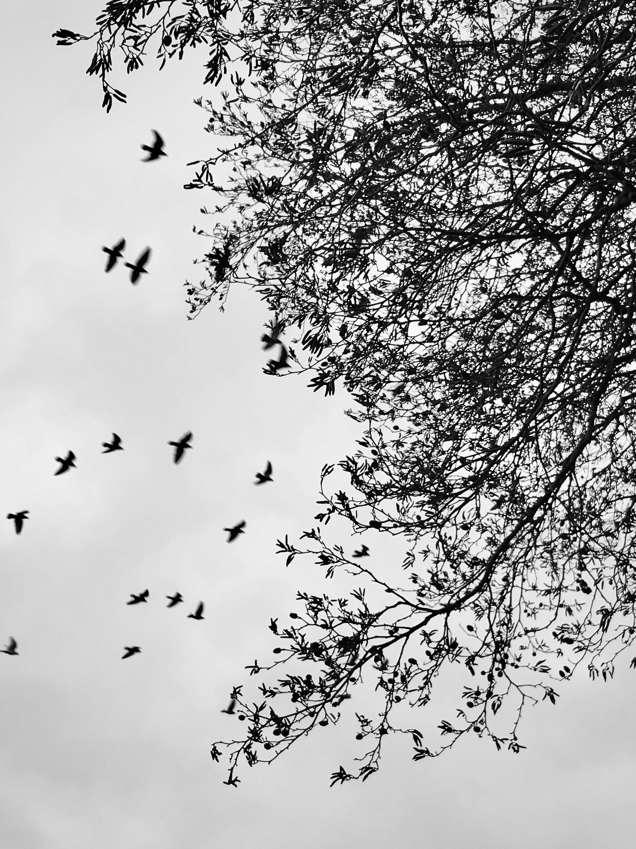 January Sky