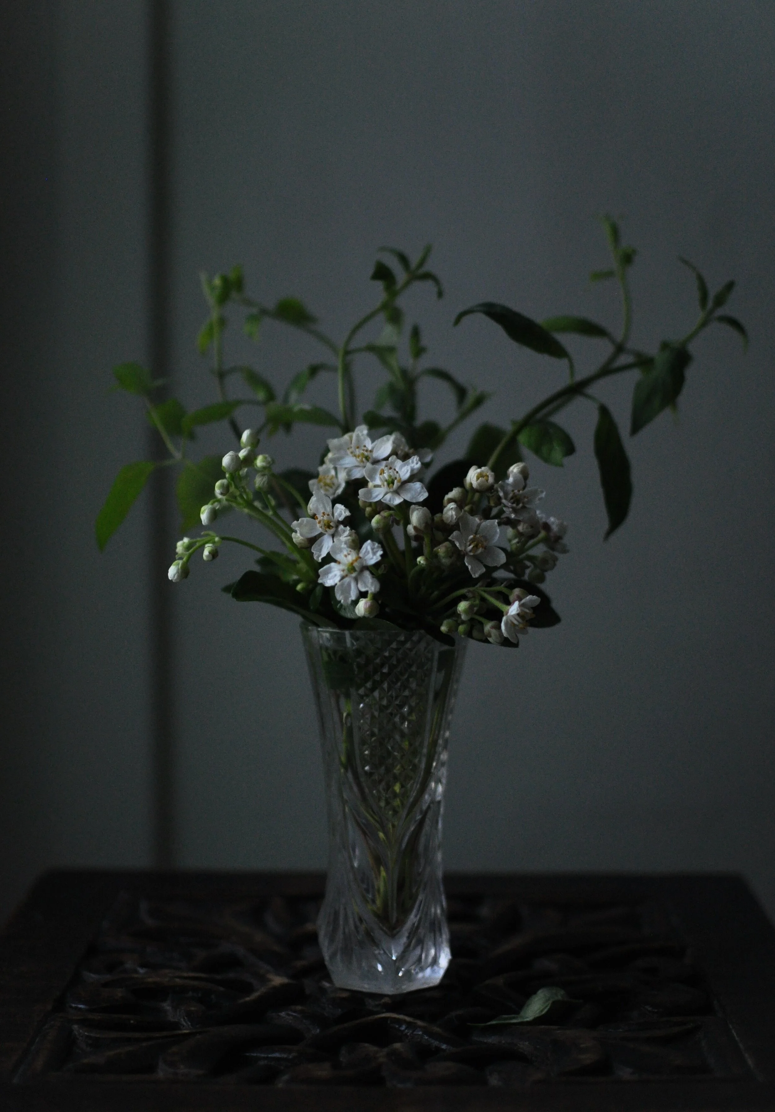 Thank you, Wales :)  Hello, Scotland!