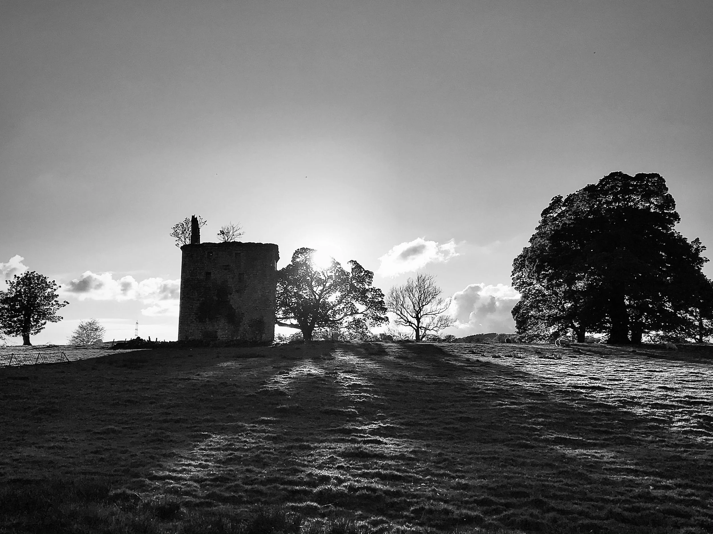 May &amp; June Country Walk Photo Journal