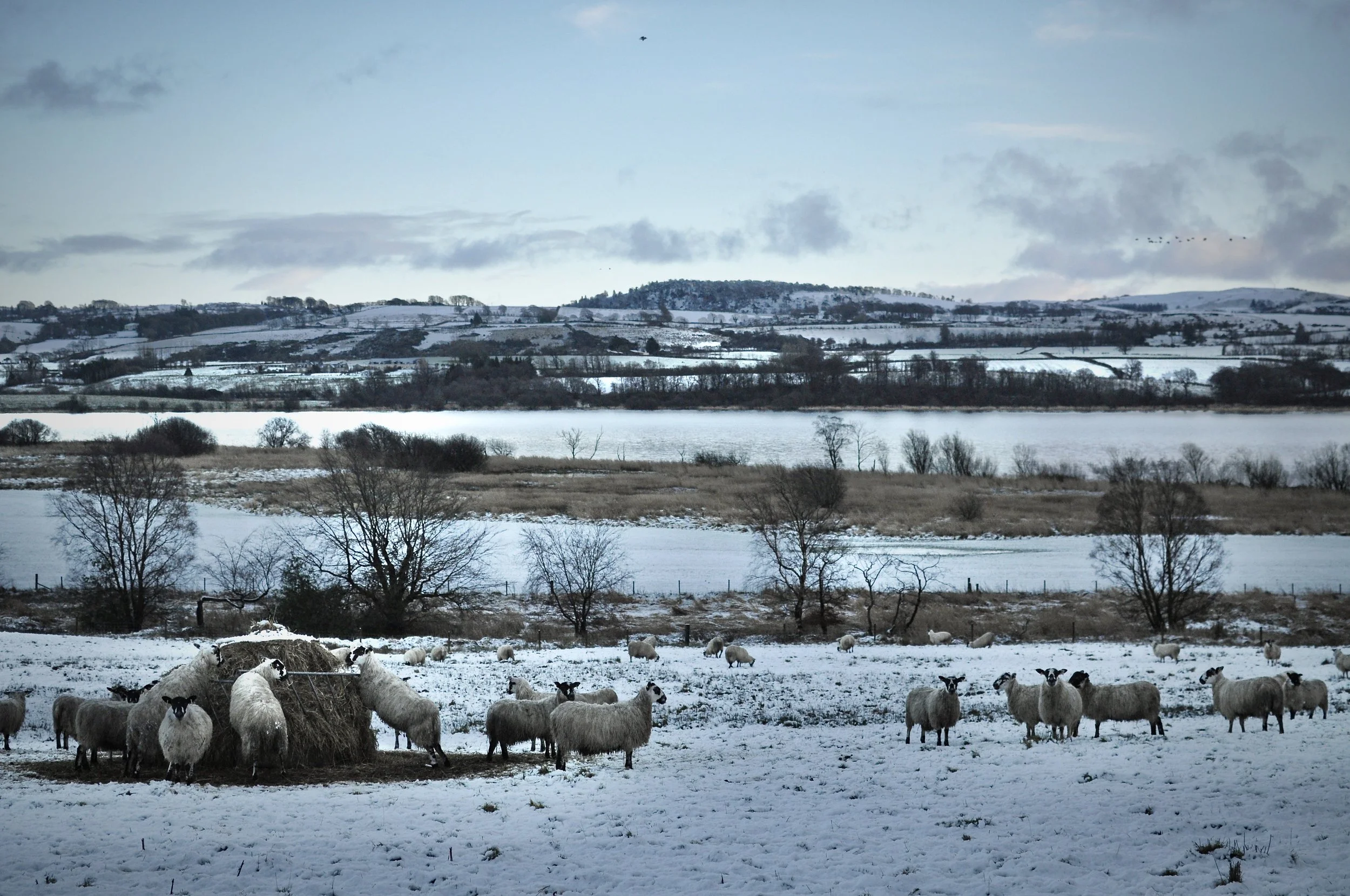 January Photo Diary 2022