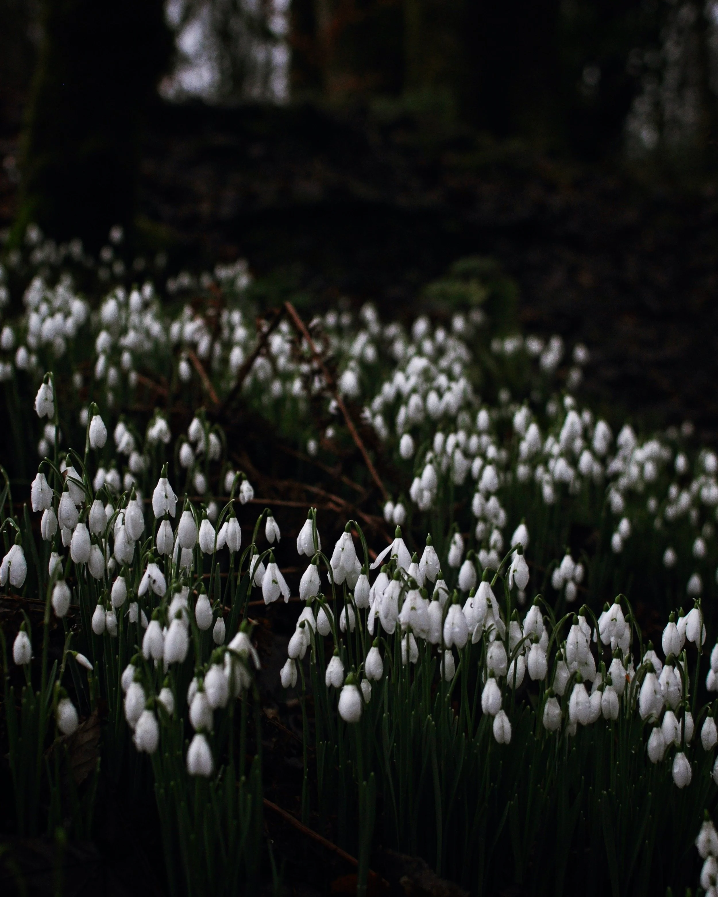 February Photo Diary 2022