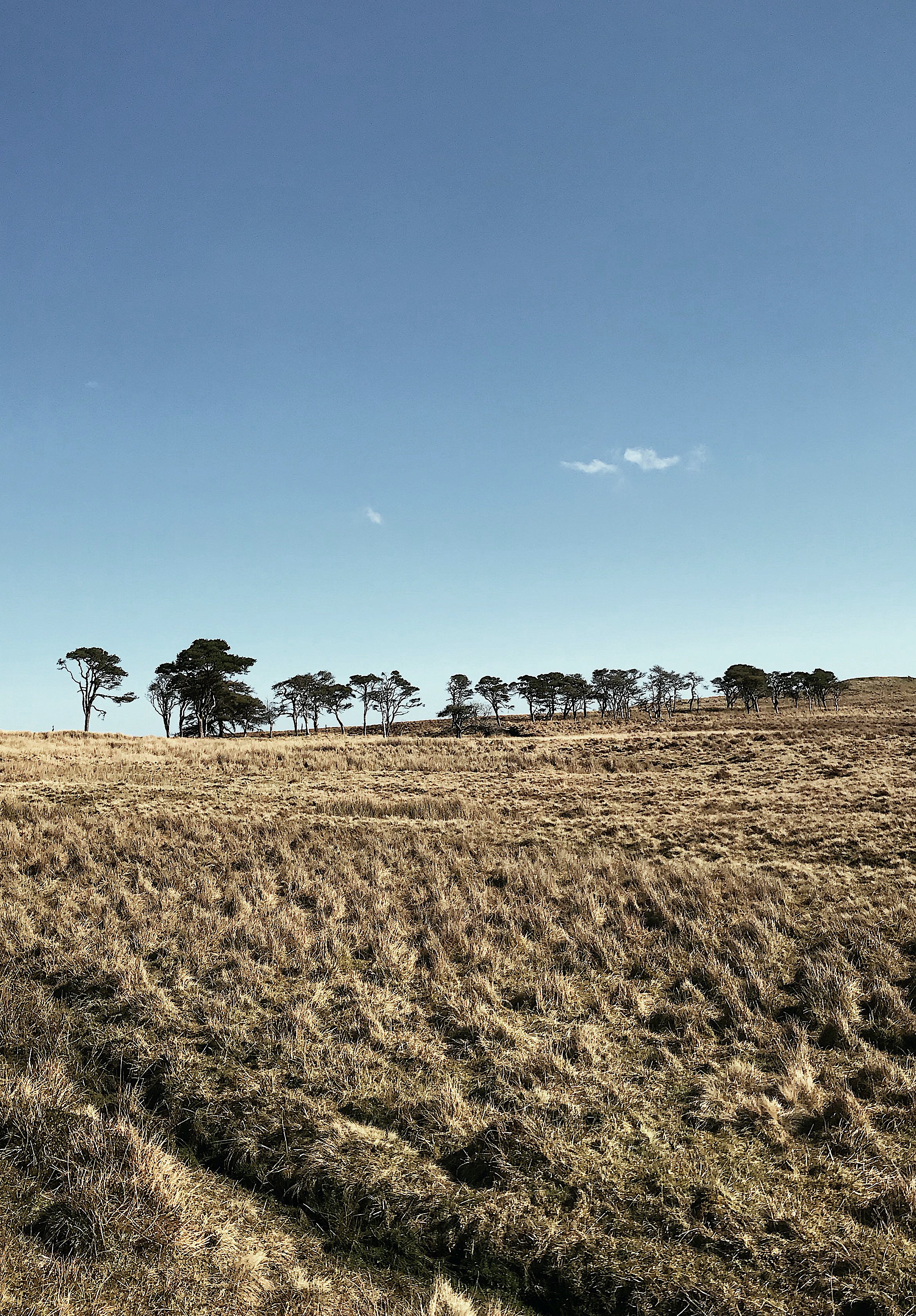 March Photo Diary 2022