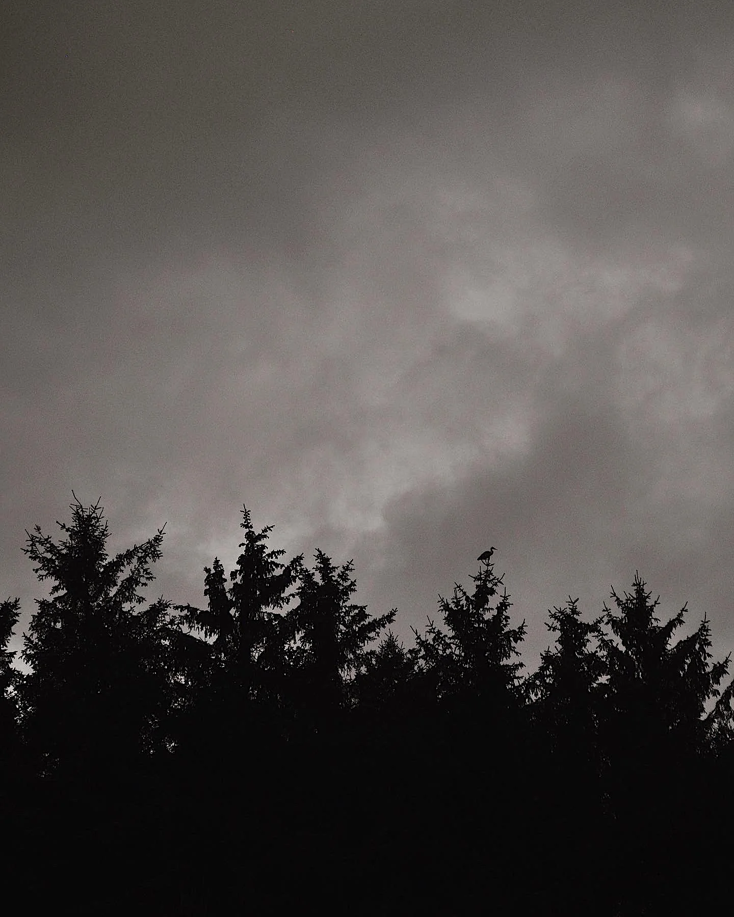 May Photo Diary 2022