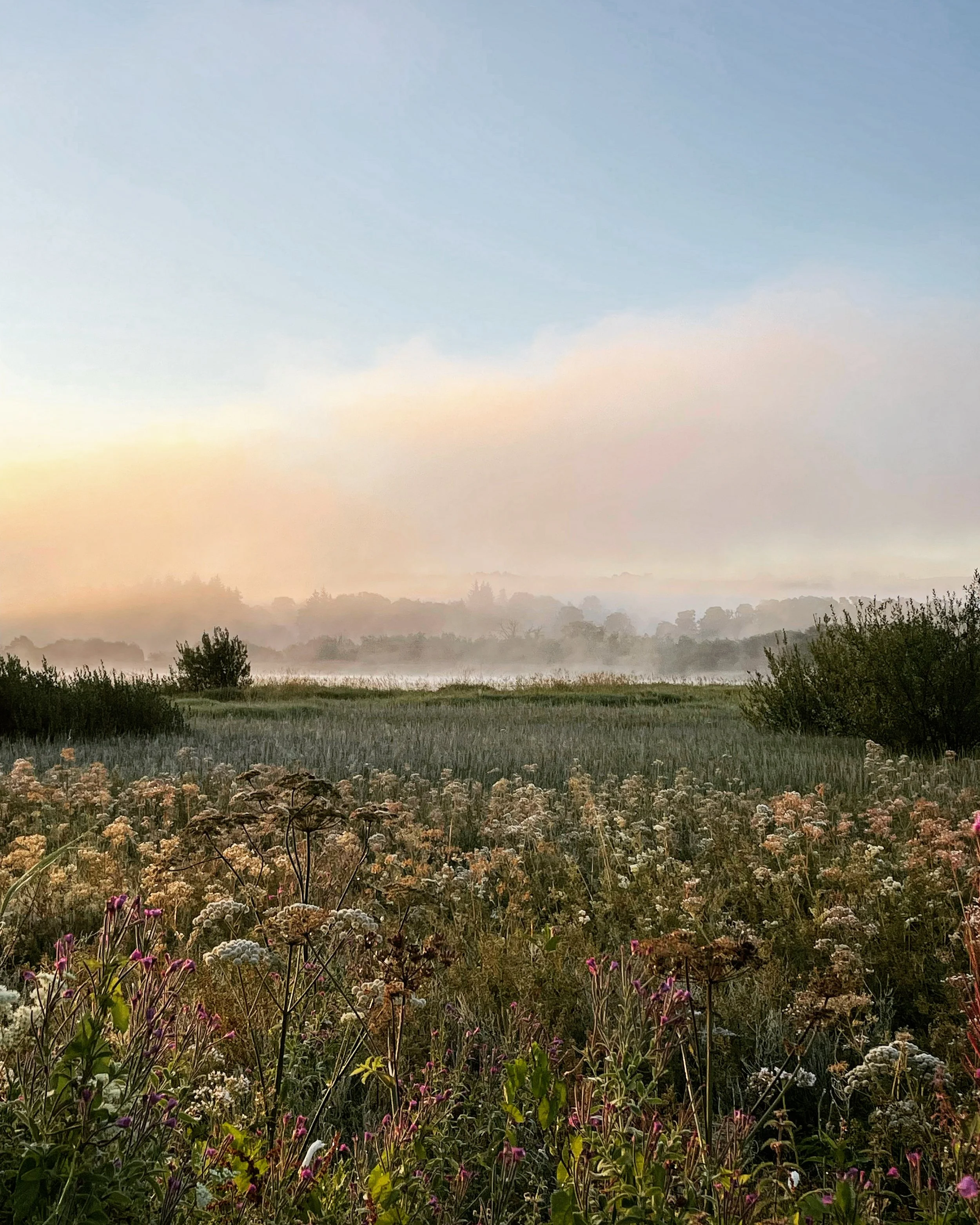 August Photo Diary 2022