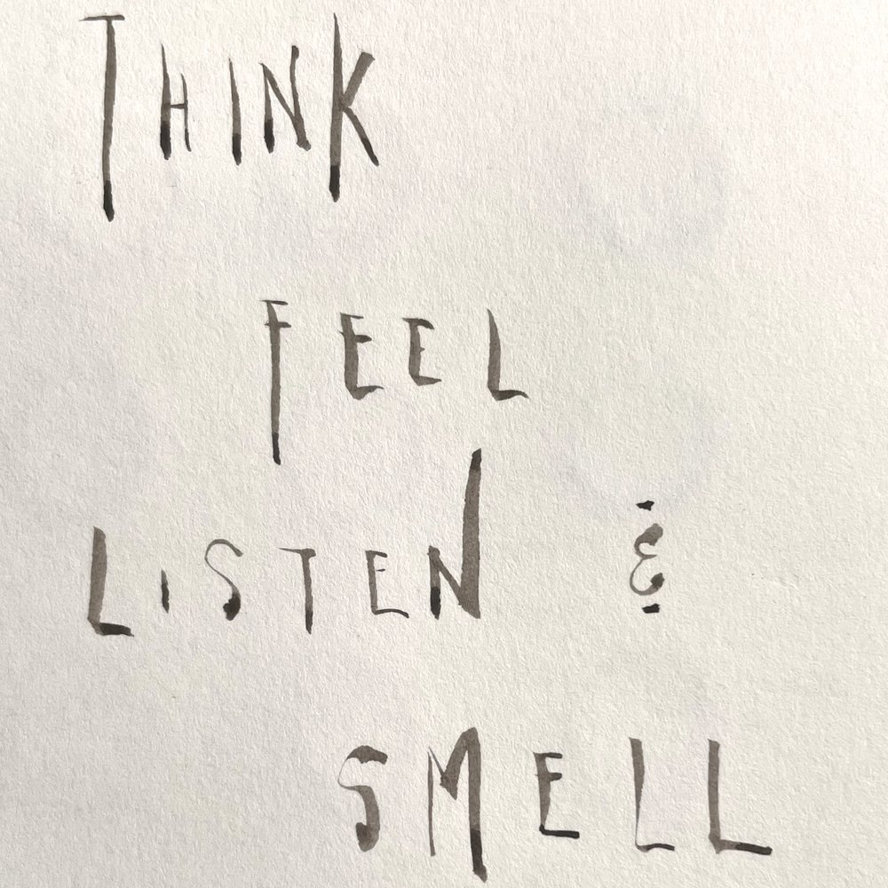 778 think, feel, listen and smell.JPG