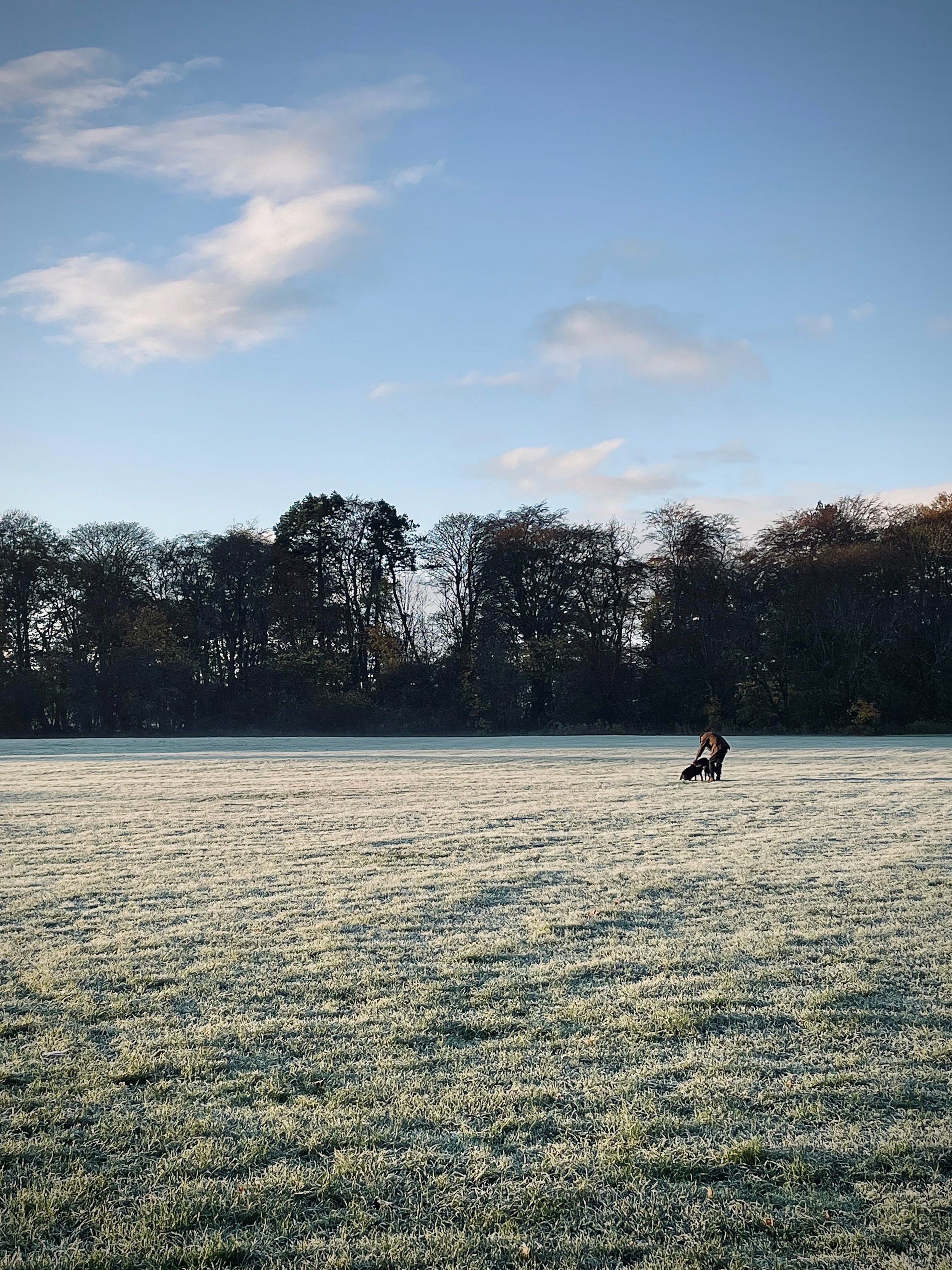 November Photo Diary 2022