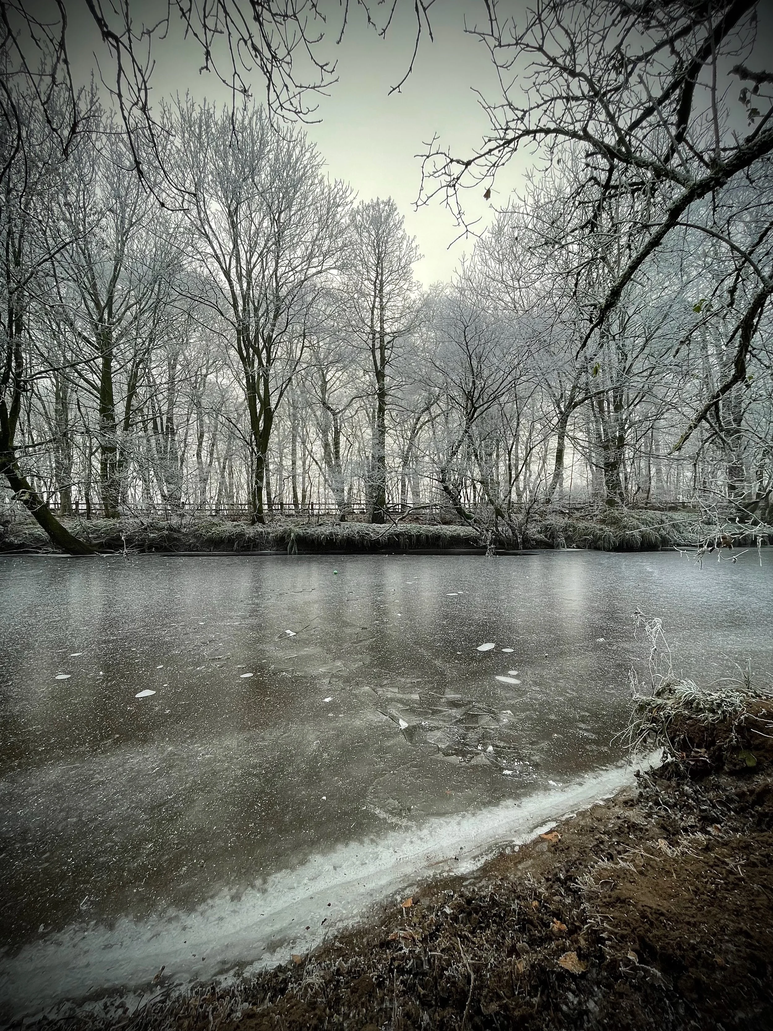 December Photo Diary 2022