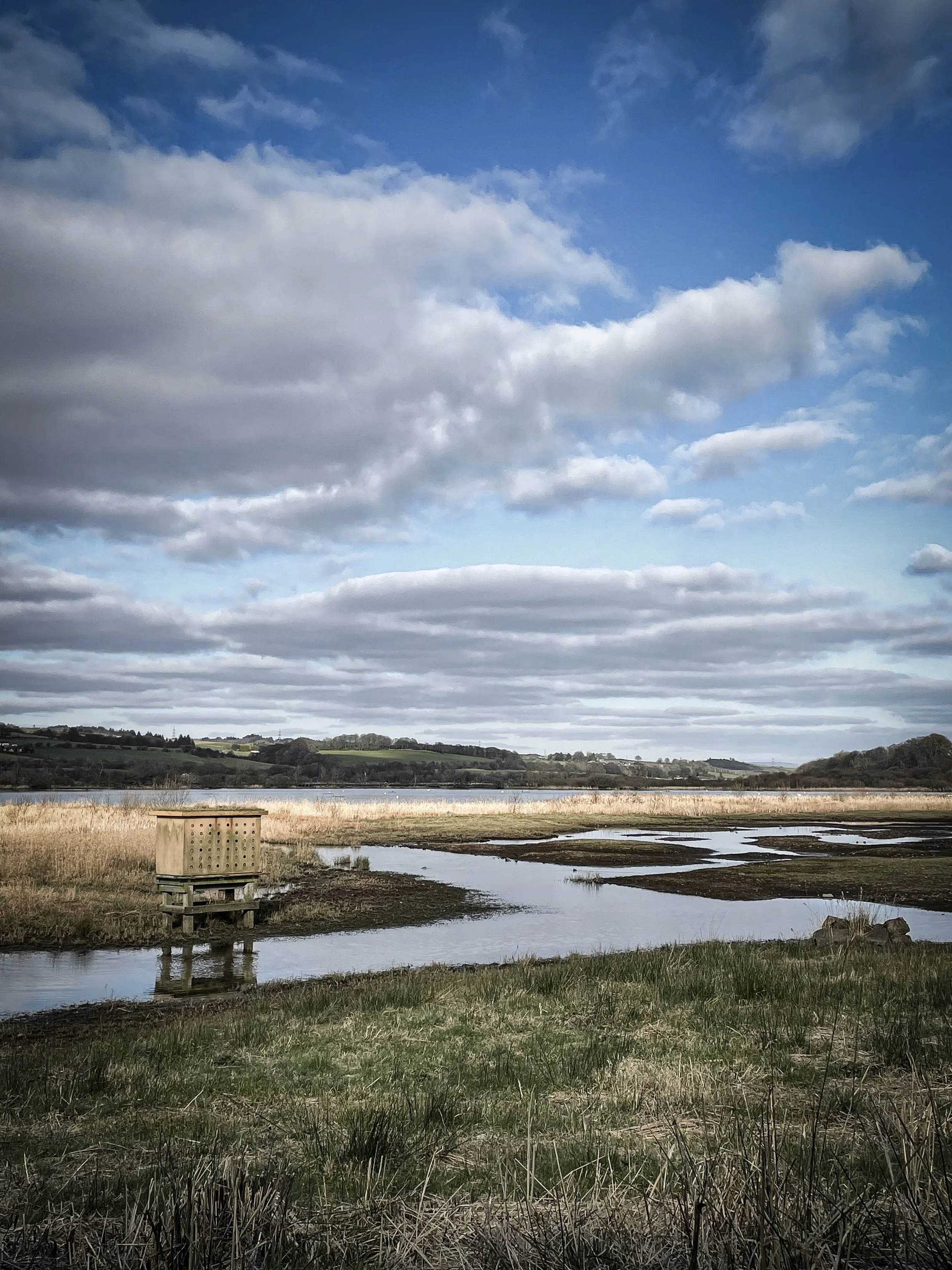 March Photo Diary 2023