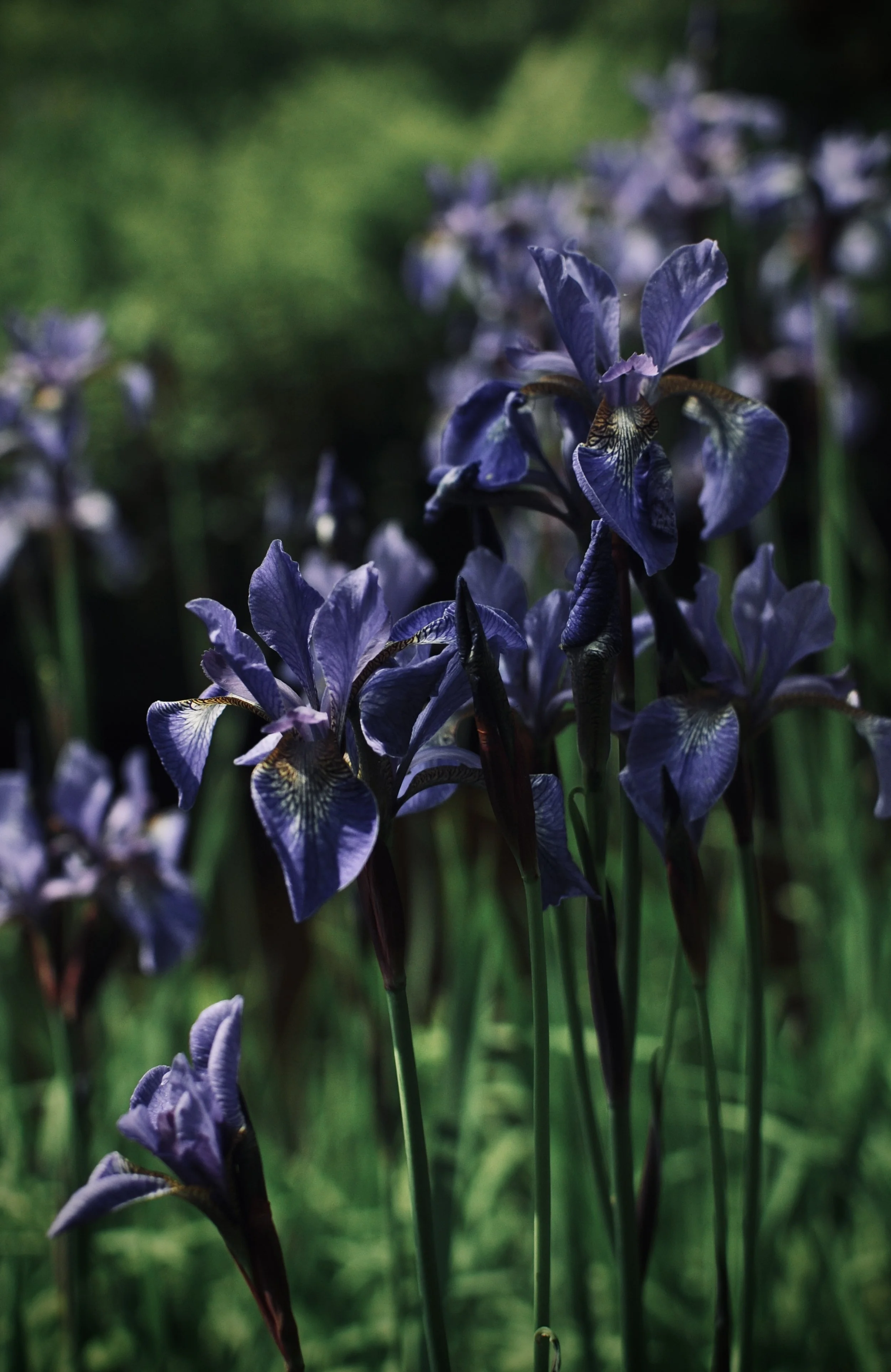 May Photo Diary 2023