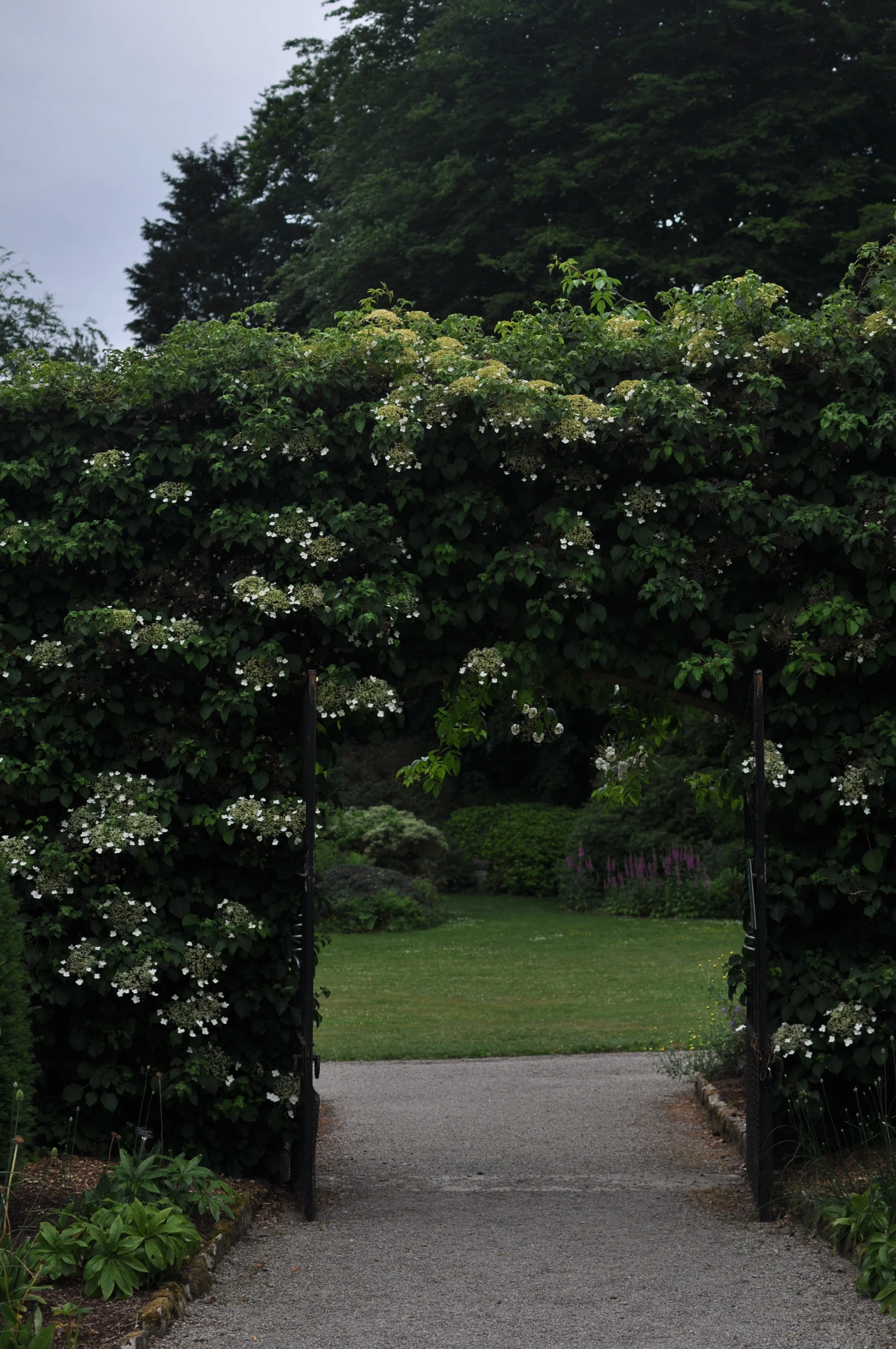 June Photo Diary 2023