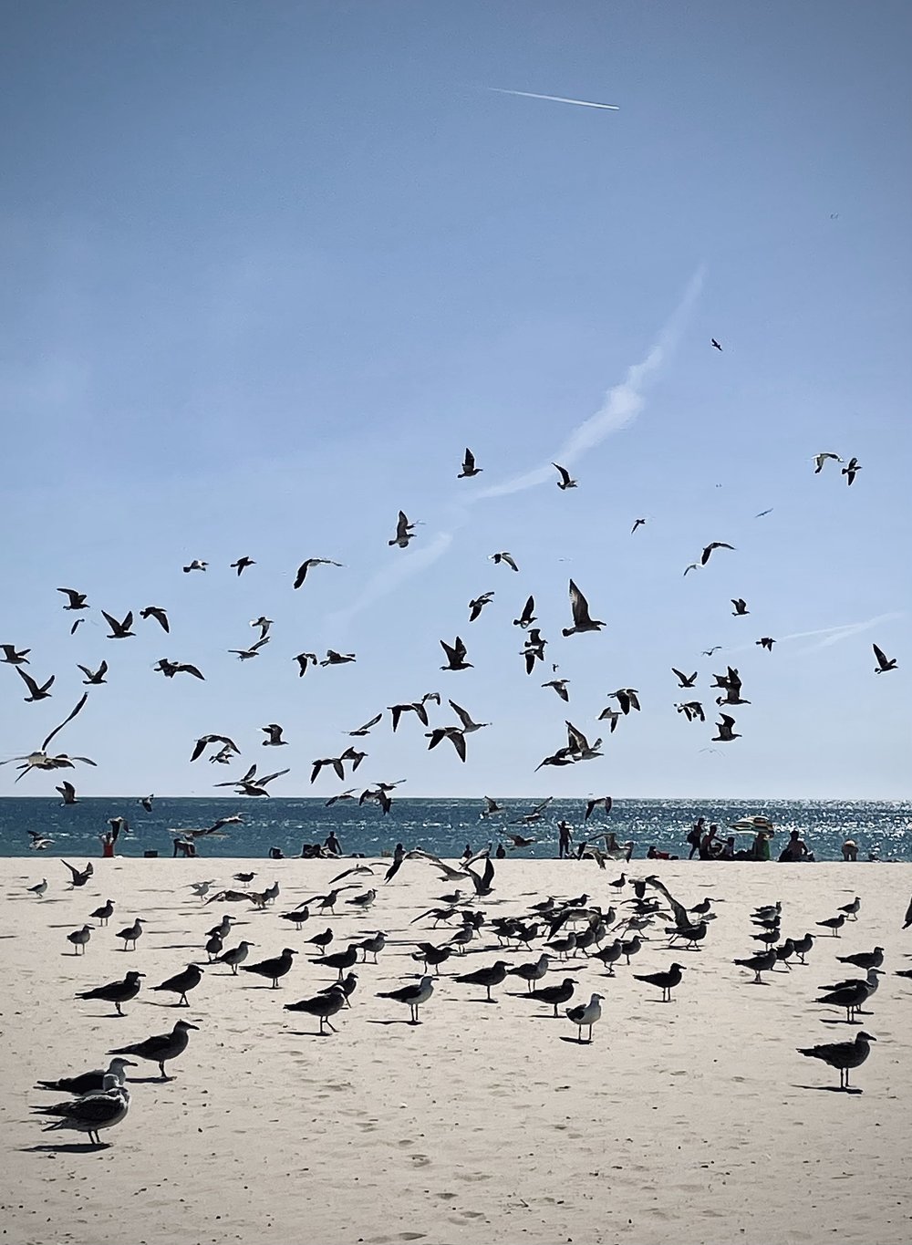 Matosinhos beach