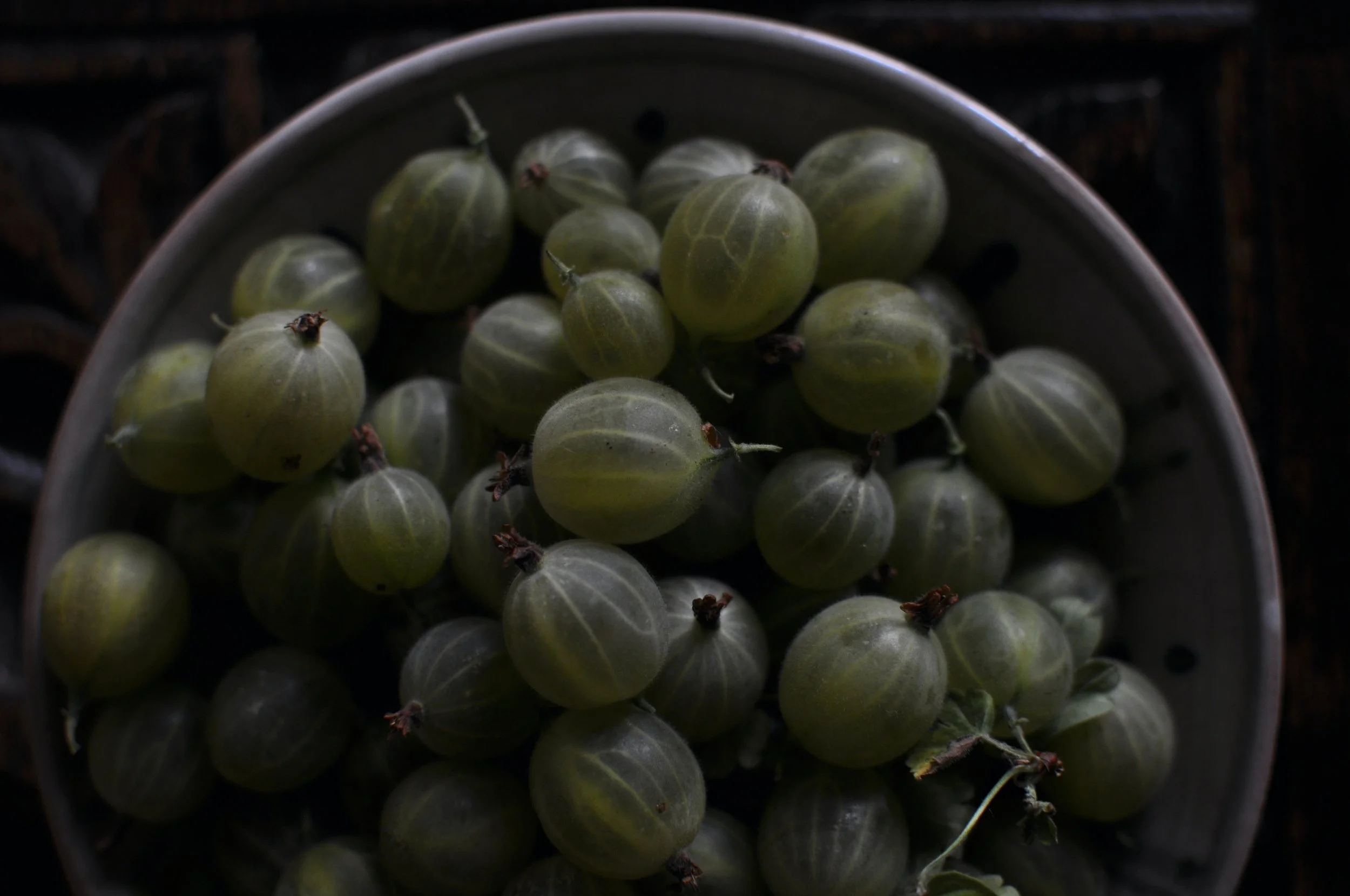 July Photo Diary 2023