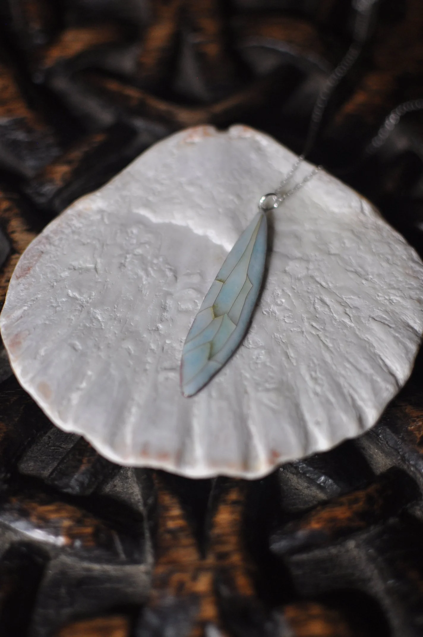 DSC_1573.JPG