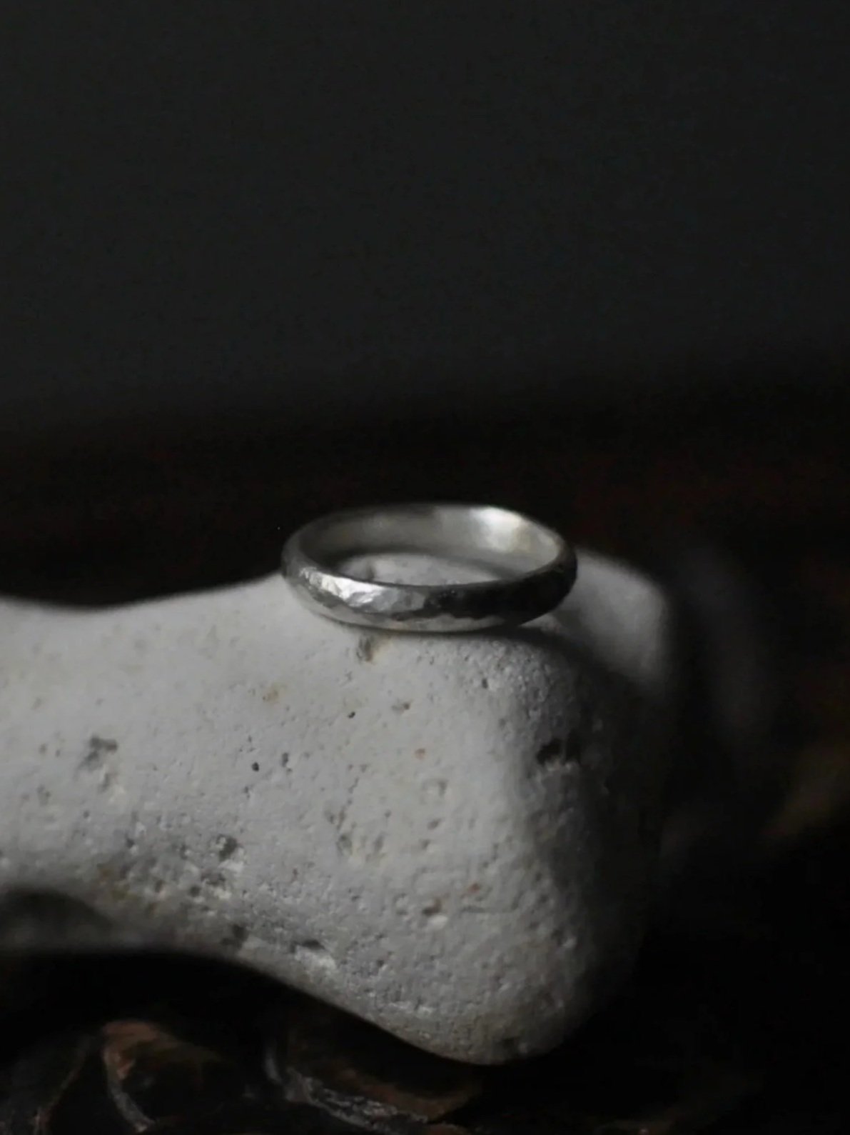 DSC_0230.jpg
