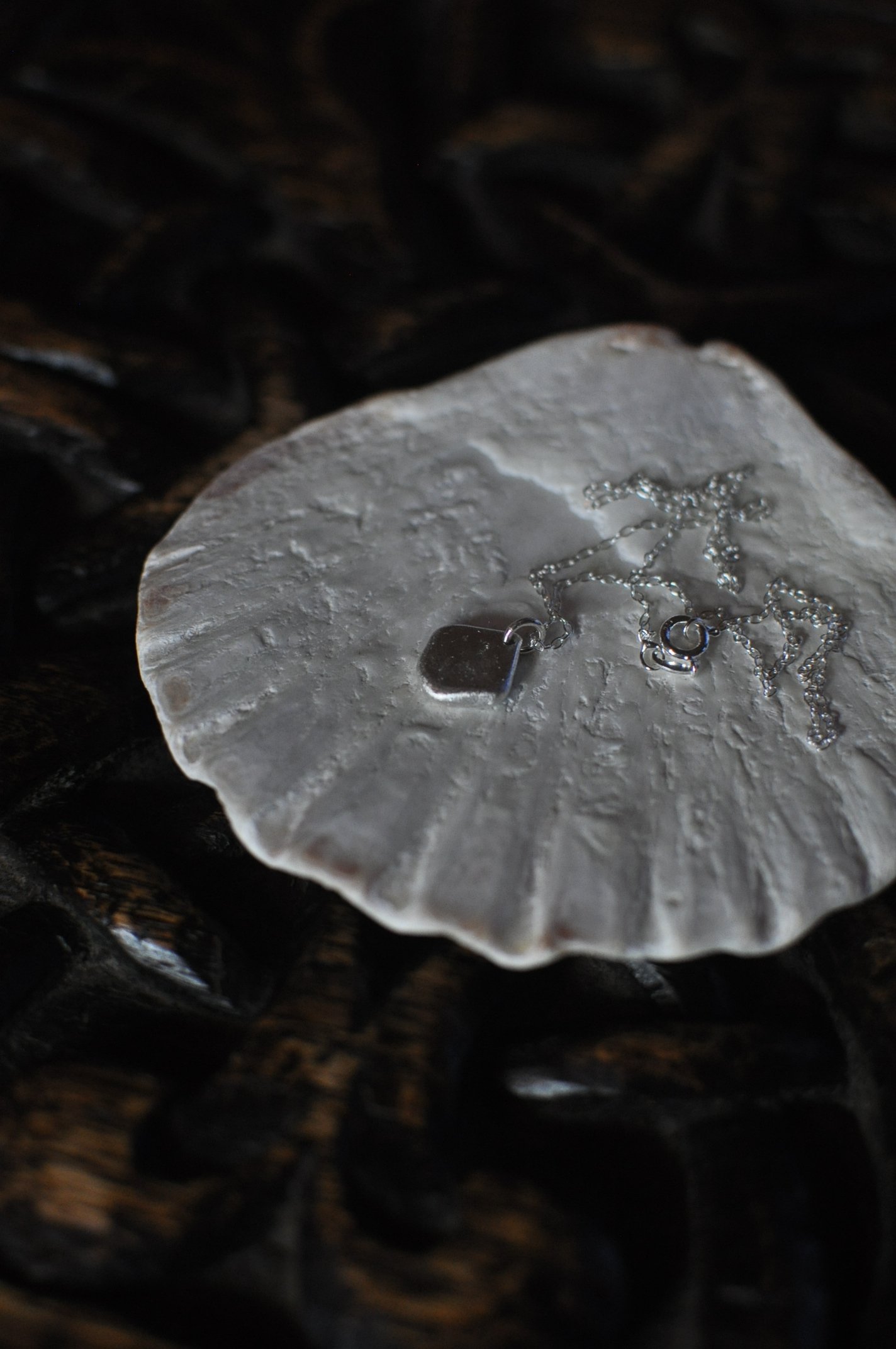 DSC_1538.JPG