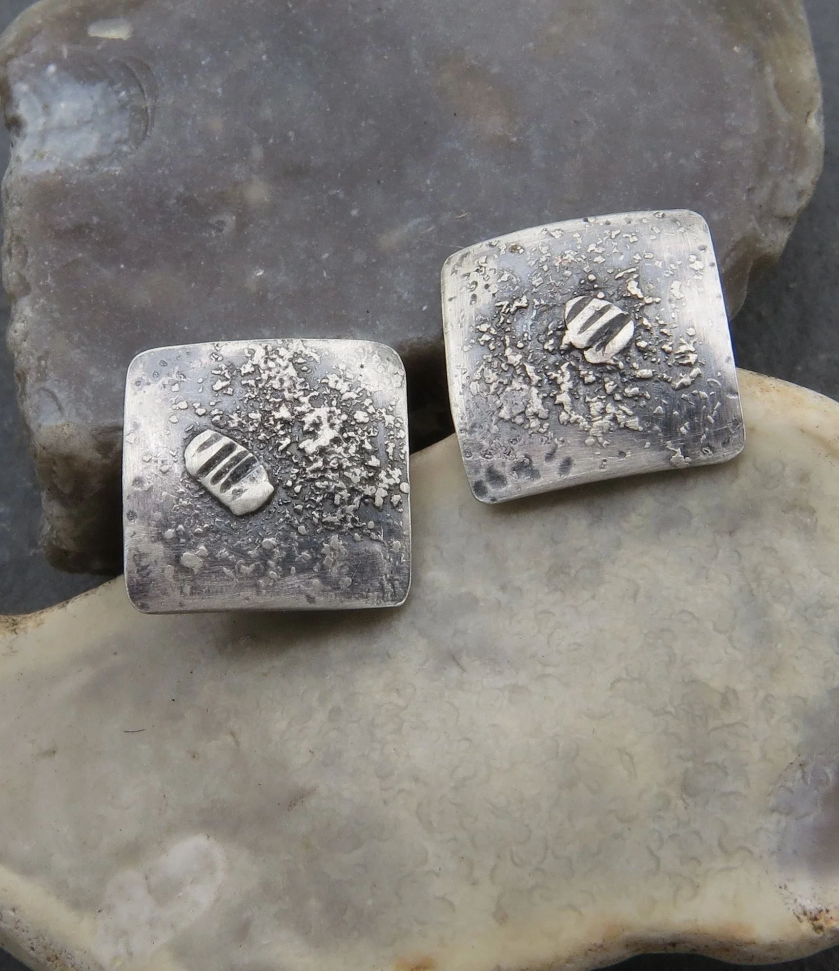 fossil sq .JPG