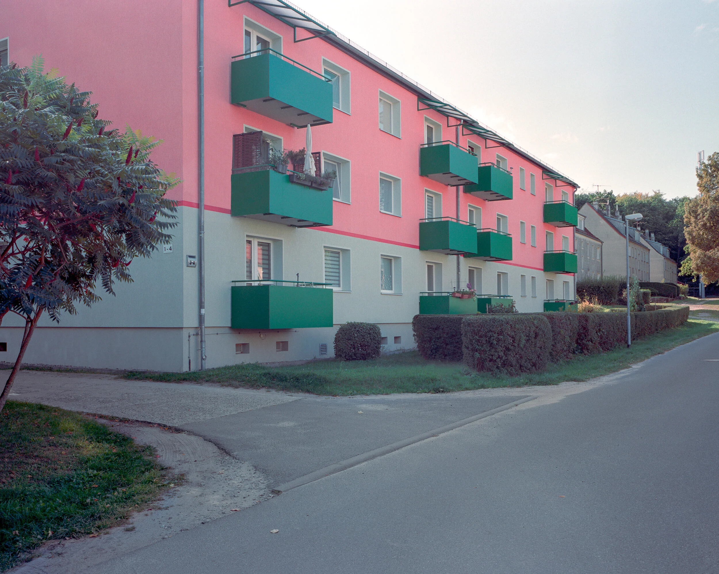 MF_F_RAW1265-Bearbeitet-2-Bearbeitet.jpg