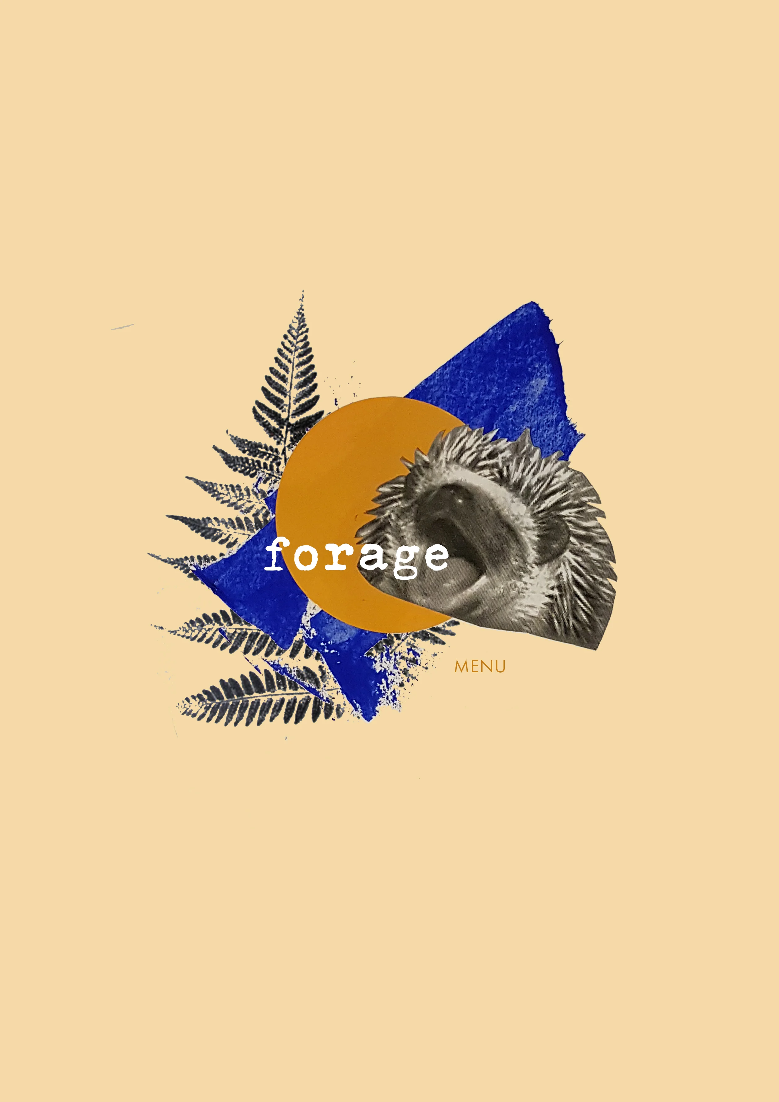 hedgehogcollage2.jpg