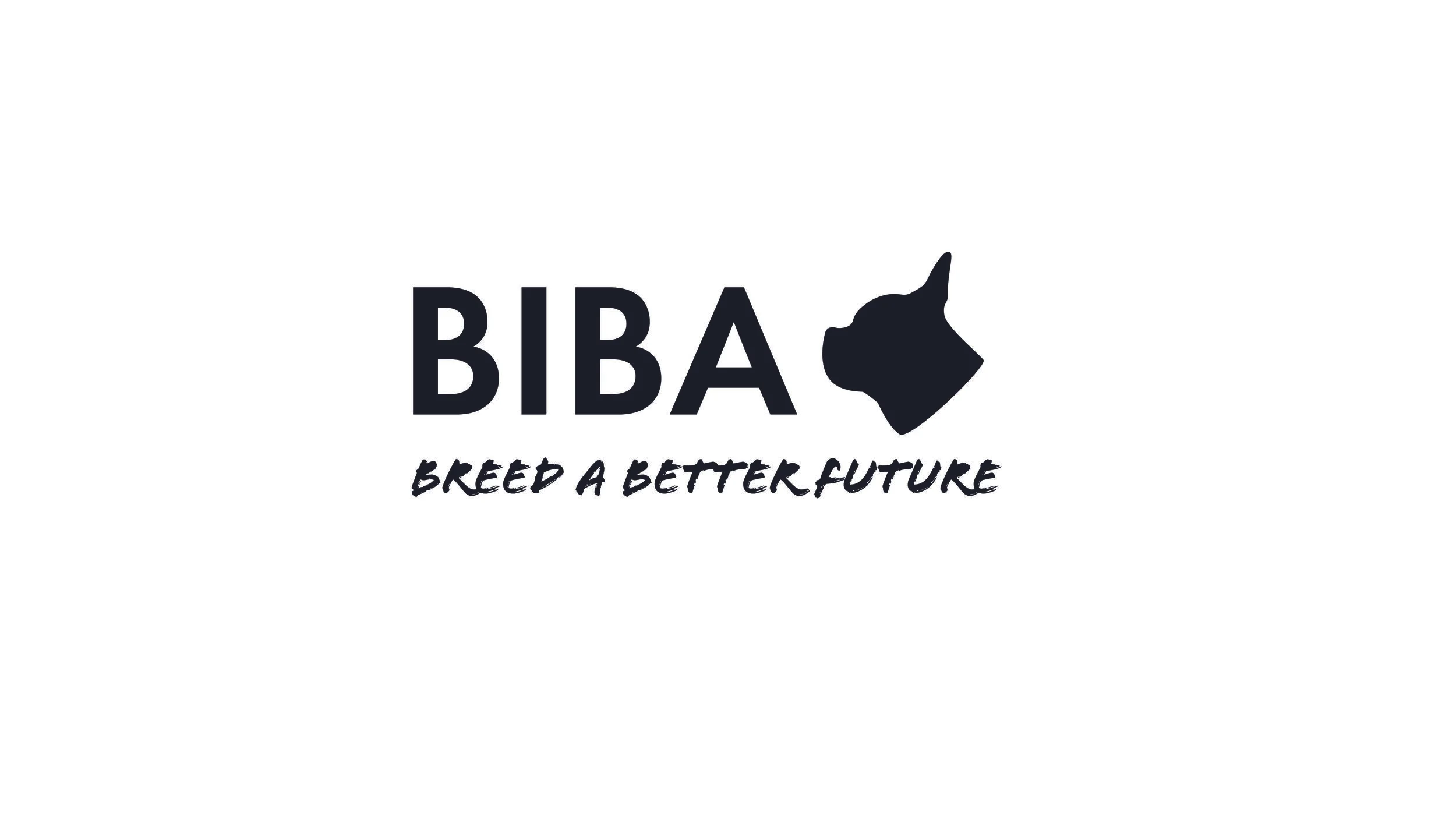 vector logobiba.jpg