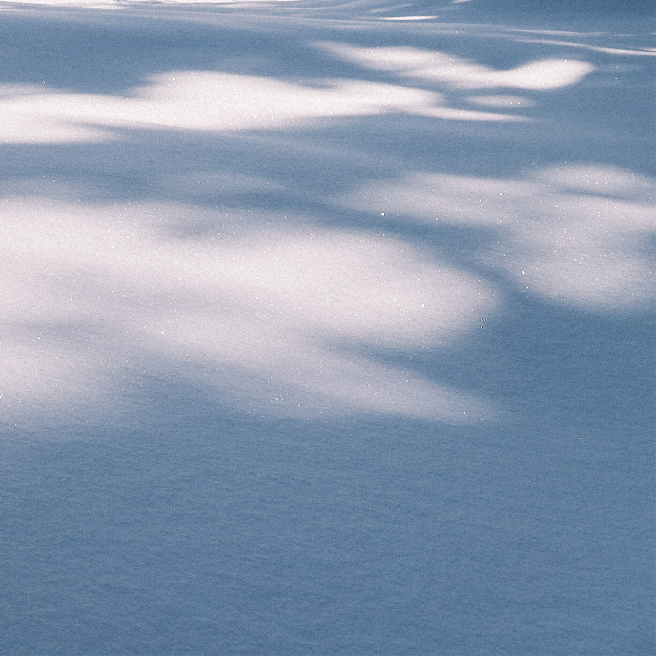 snow.jpg