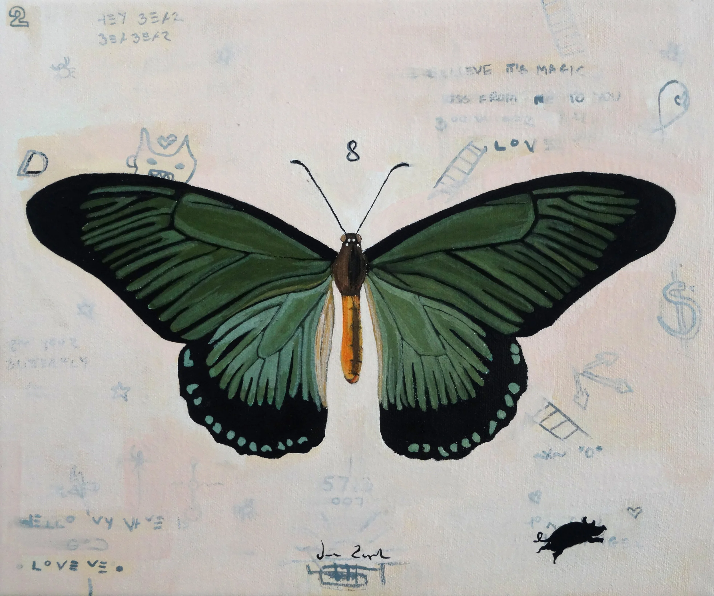 PAPILIO