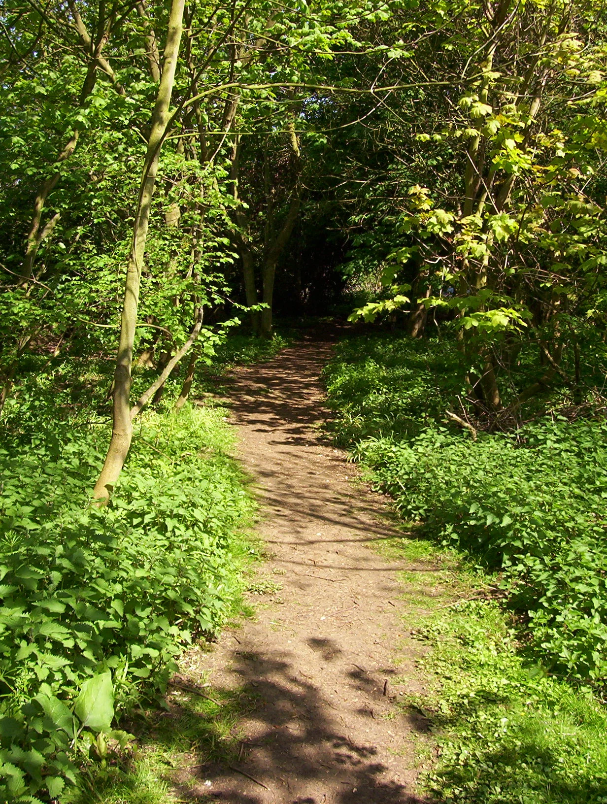 000_0927.JPG