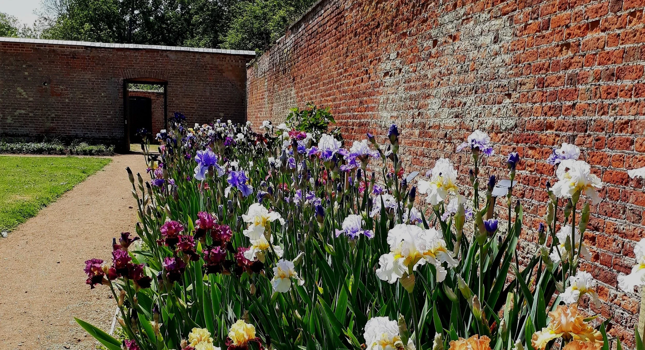 PLANT FAIR &amp; ARTISAN MARKET