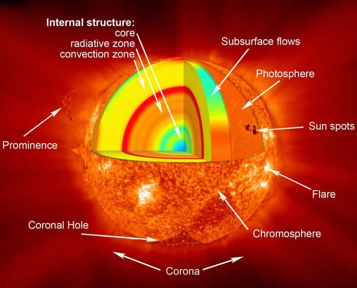 sun-section.jpg