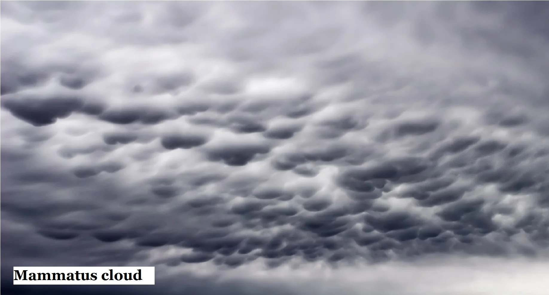 12 Mammatus cloud.jpg
