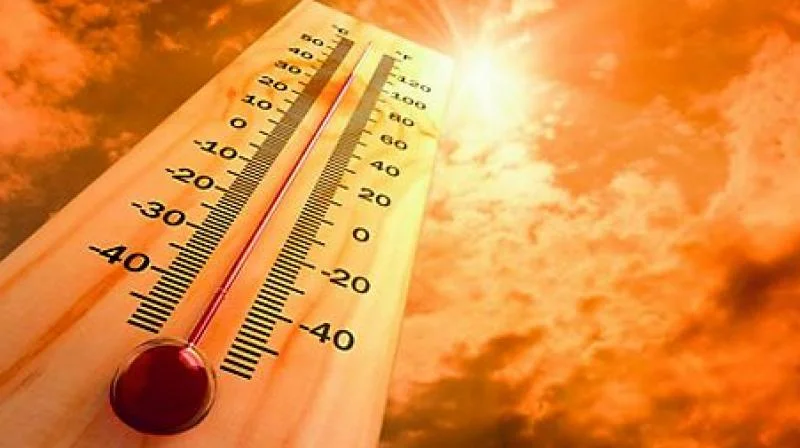 0temp.jpeg