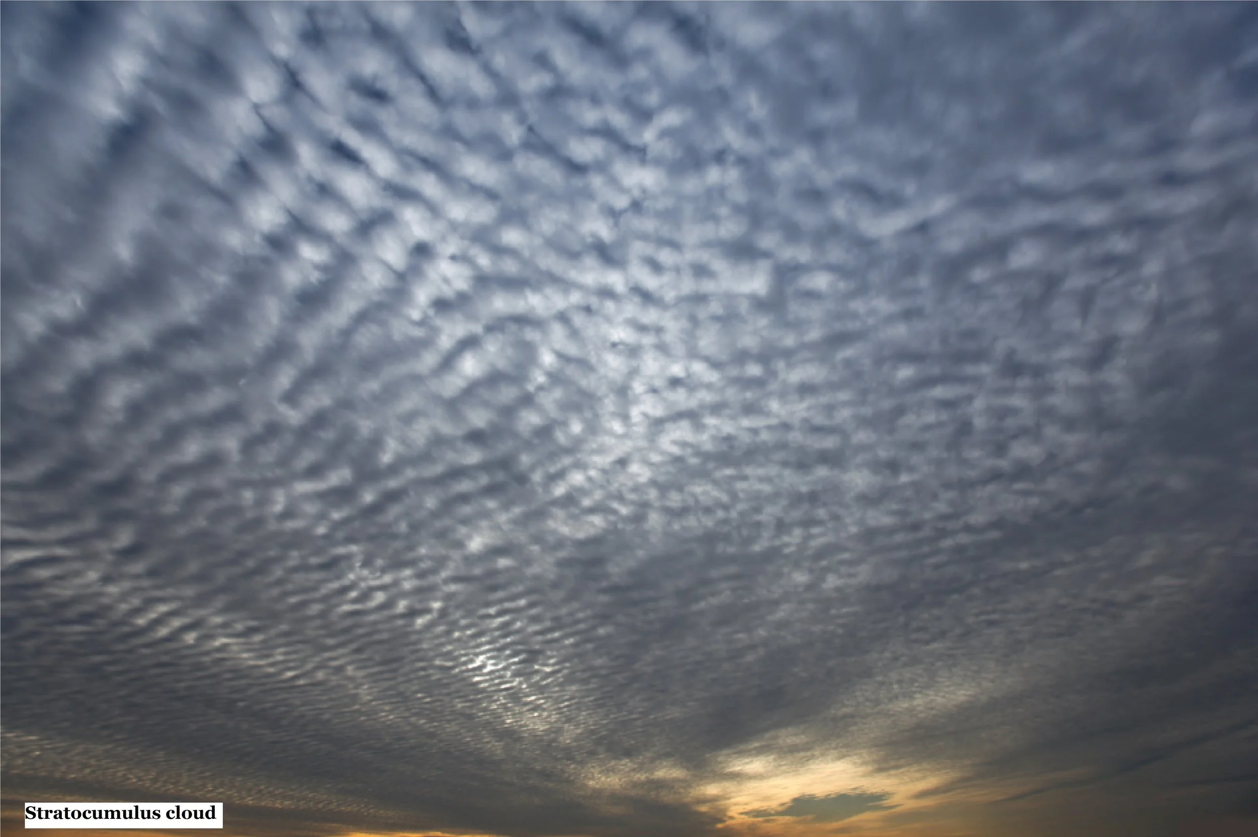 3 Stratocumulus cloud.jpg