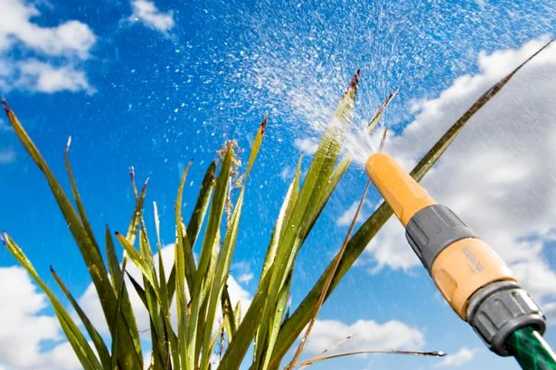 Hose pipe ban in place for 16 county's in Ireland until the 30th of September