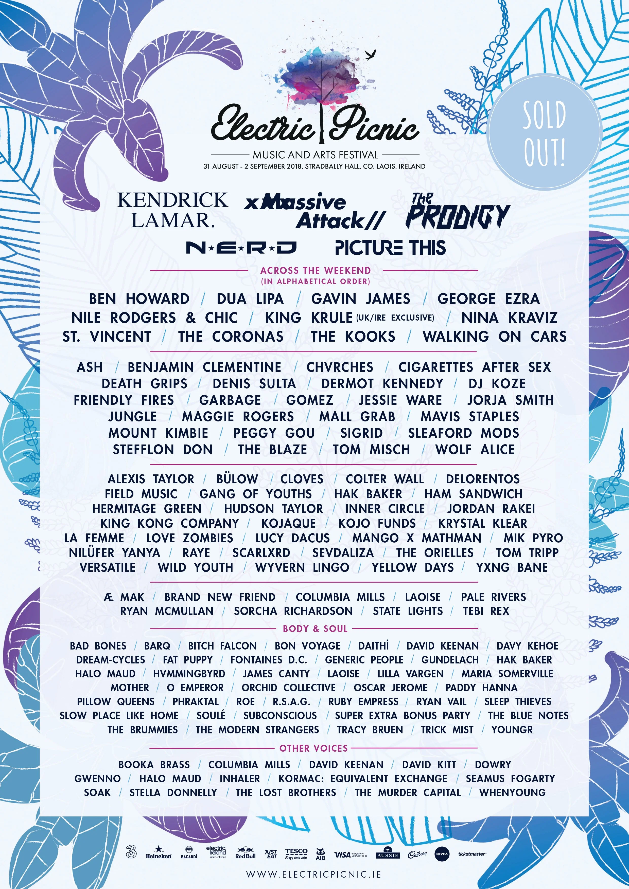 ELECTRIC PICNIC LINEUP