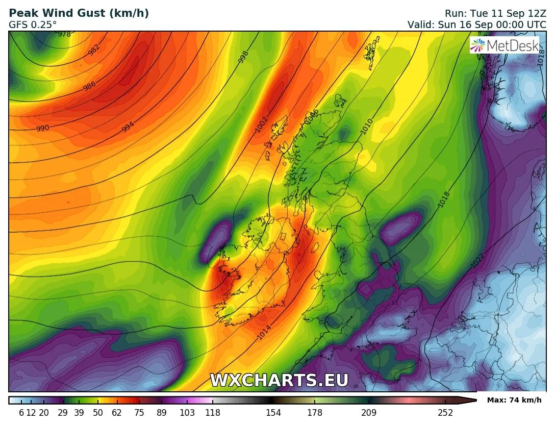 wind 1.jpg