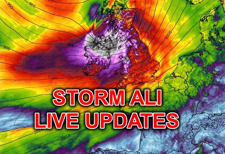 STORM ALI.jpg