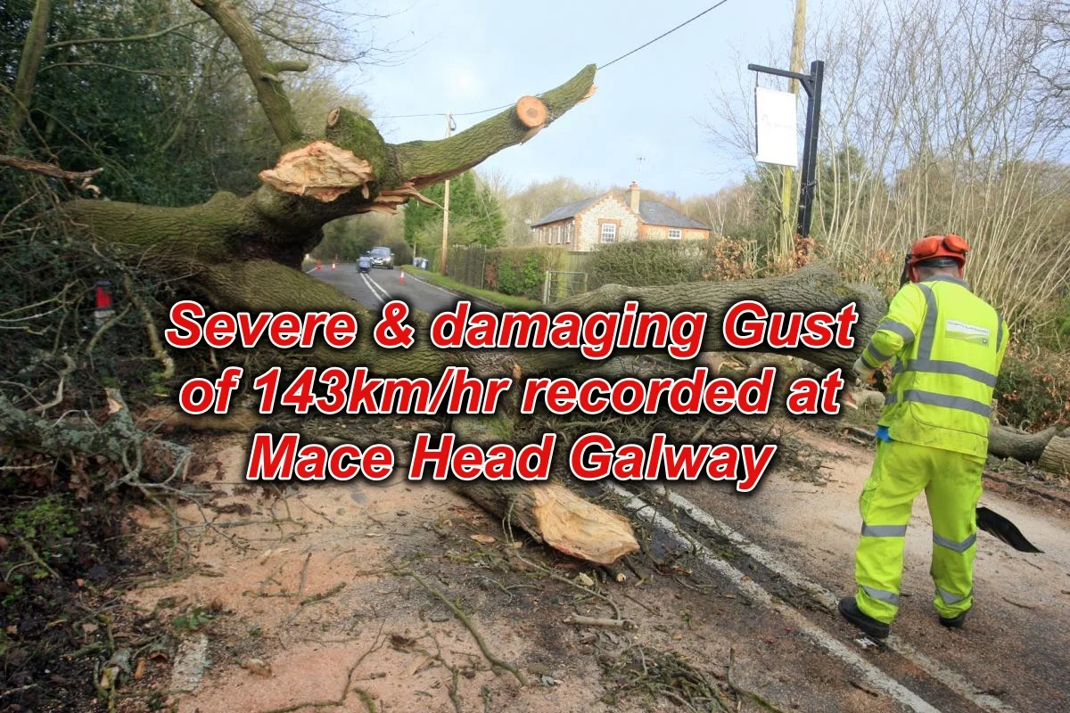 gust 1.jpg