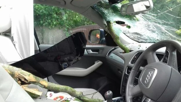 Dentist David Gwyer was injured when a tree smashed through the roof of his car