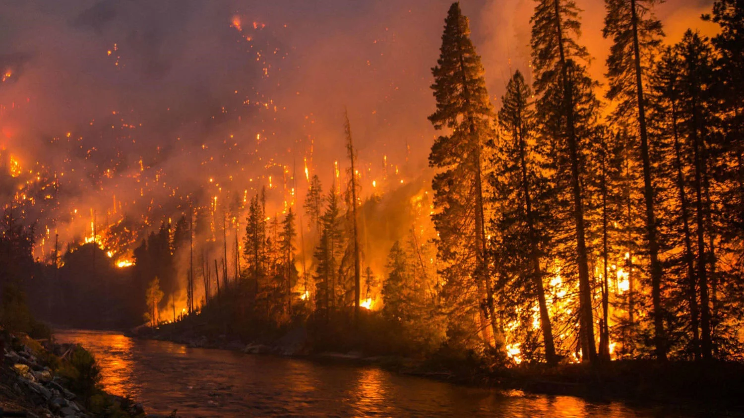 FIRE 2.jpg
