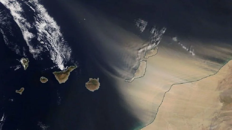 All 8 Canary Islands airports reopen after Saturday &amp; Sundays sandstorm