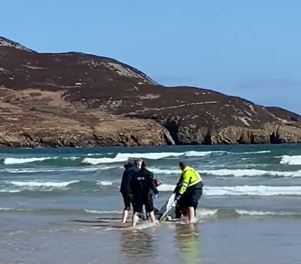 Donegal Gardai and Mulroy Coast Guard rescue stranded Dolphin in Dunfanaghy