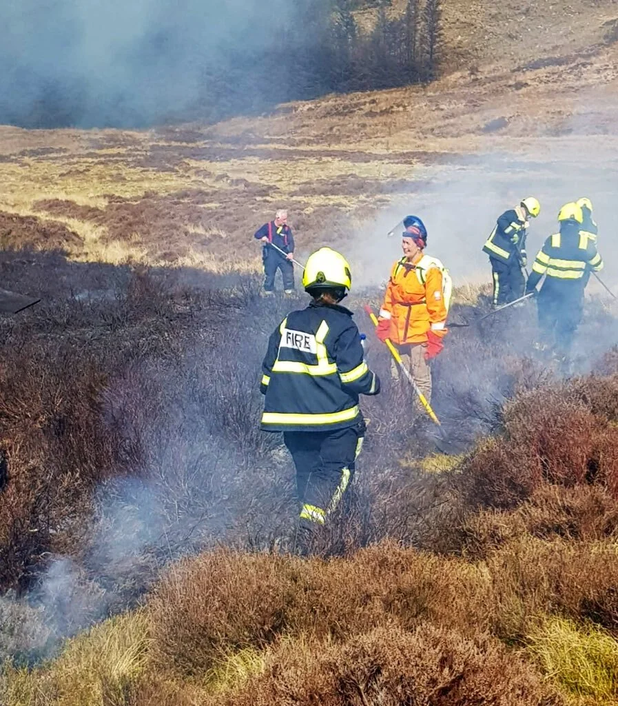 Firefighters in Wicklow tackle large gorse fires since last night 