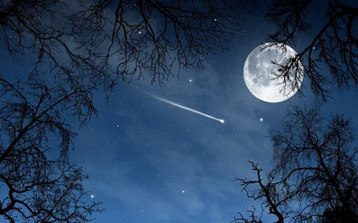Check out the Lyrid meteor shower which peaks over the next 2 nights