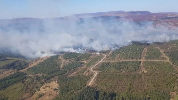 €500,000 worth of damage caused in Leitrim forest fire at the start of the week