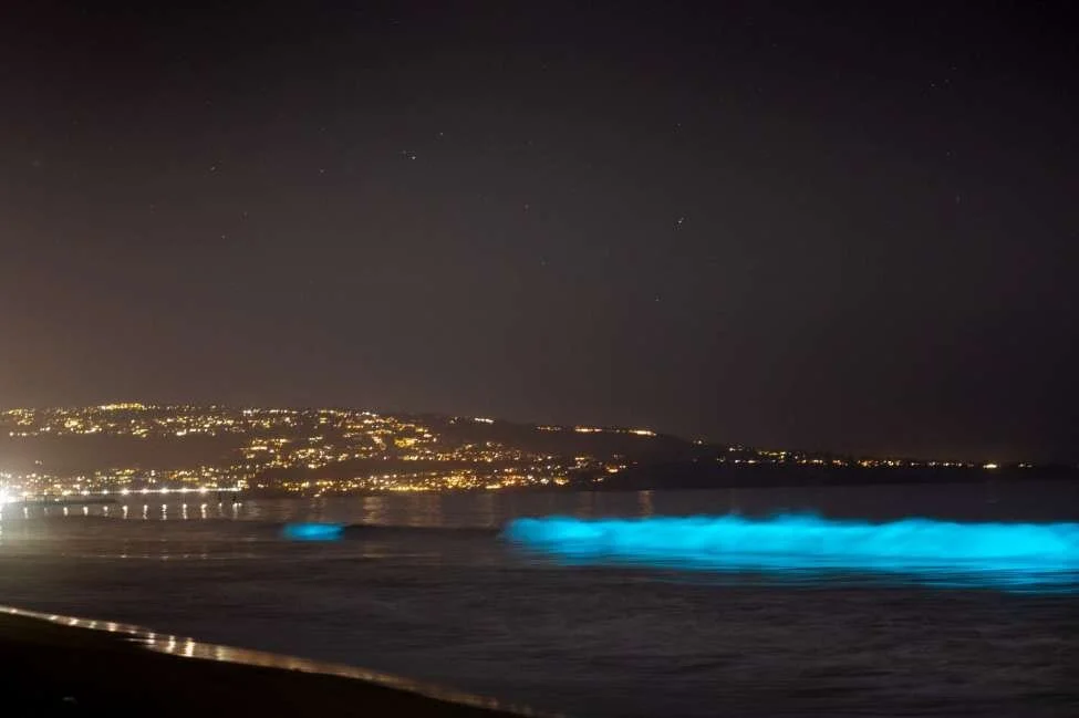 Bioluminescent event lights up Southern California waters at night leaving them glowing