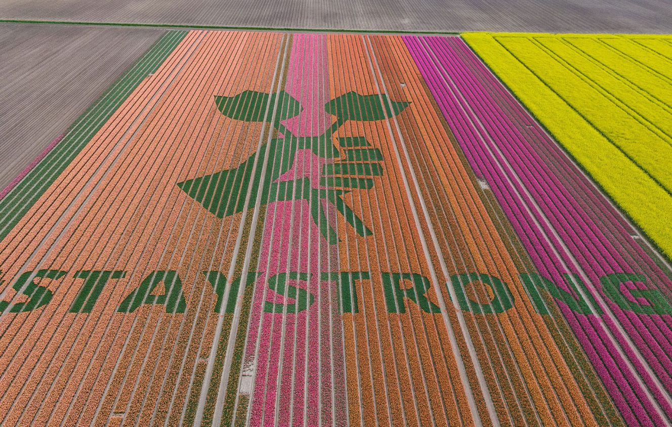 Dutch Farmers Are Writing Special Messages in Their Tulips
