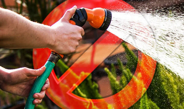 Hosepipe ban will be in place from Tuesday 9 June until Tuesday 21 July for Ireland 