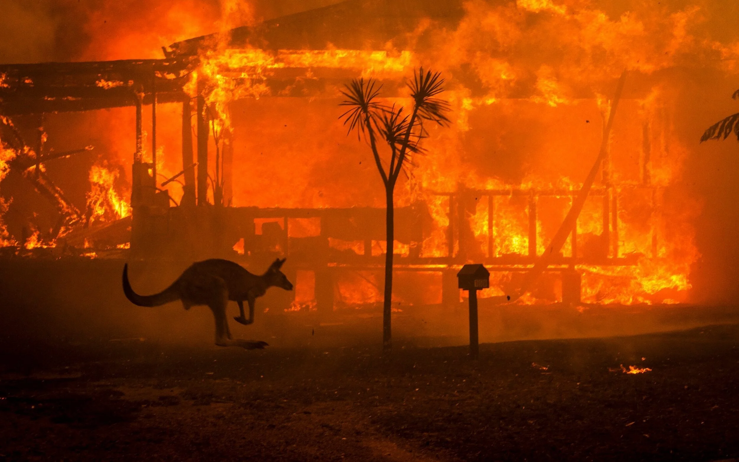 Over 50 homes now destroyed in western Australian bushfires