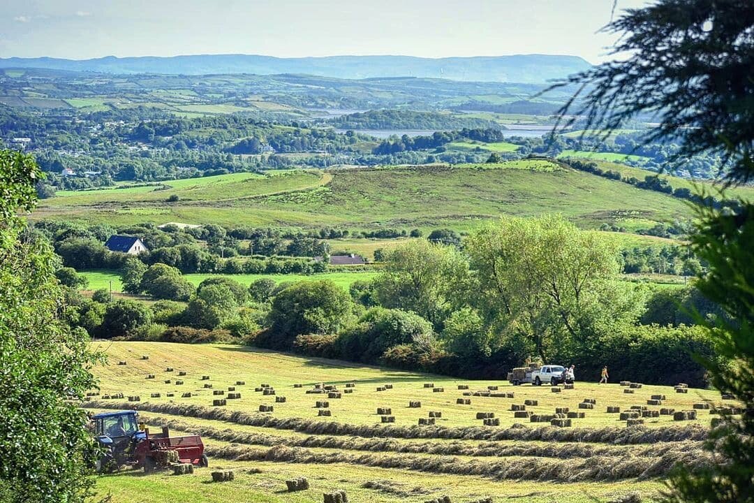 🚜Making hay while the sunshines in the hills of Donegal👍😁

Photo by @lugmac

#countryliving #donegal #countryliving #donegalpage #donegal #wildatlanticwaydonegal #wildatlanticway #alittlepieceofireland #bestofireland #instaireland_ #instadonegal #